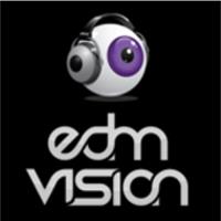 EDM Vision image 1